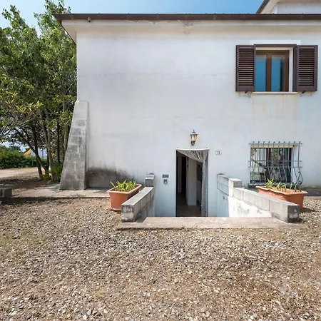Su Nidu Virde Apartament